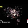 Батарея салютов Букет хризантем (20 ммх49)