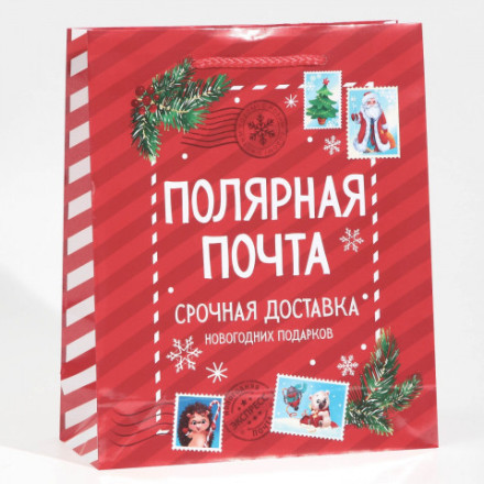 Пакет подарочный Полярная почта #нг