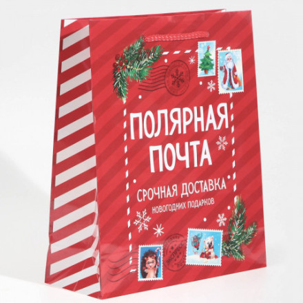 Пакет подарочный Полярная почта #нг