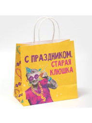 Пакет подарочный, упаковка, «Клюшка»
