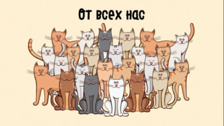 Конверт для денег, От всех нас (котики)