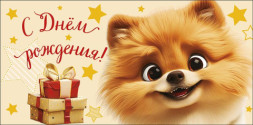Конверт для денег С Днем Рождения! Шпиц
