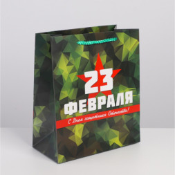 Пакет ламинированный горизонтальный «Защитник»