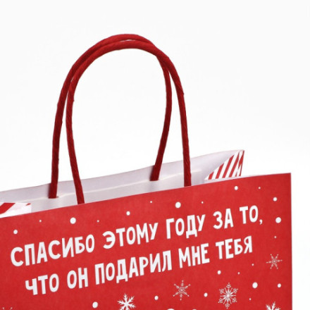 Пакет подарочный новогодний «Спасибо этому году» #нг