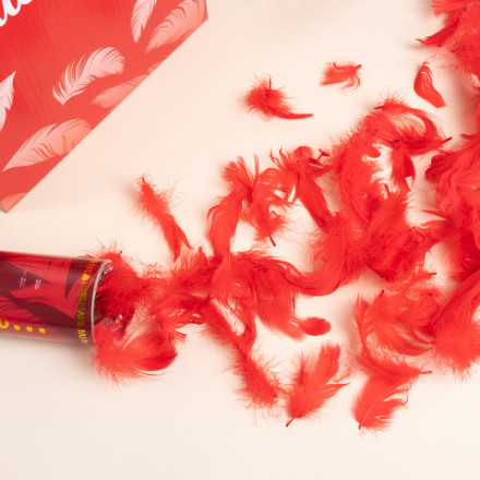 Пневмохлопушка Это Любовь ..., Перья, Красный