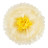Цветок, Слоновая кость/Желтый