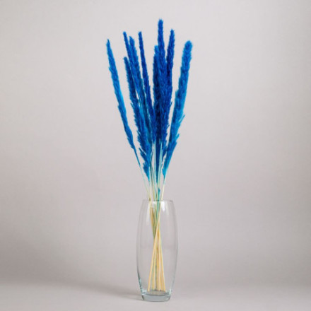 Сухоцвет Пушистая пампасная трава, высушенная, голубой