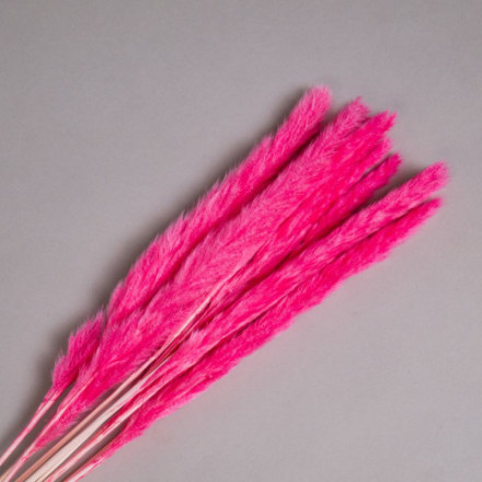 Сухоцвет Пушистая пампасная трава высушенная, розовый