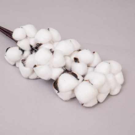 Хлопок, белый