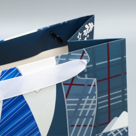 Пакет подарочный ламинированный, упаковка, «Мой папа лучший»