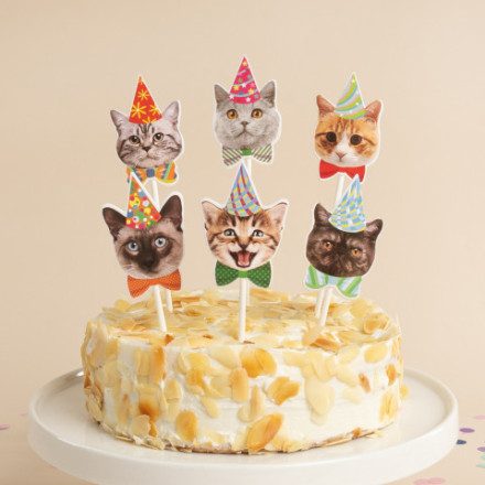 Топперы, Котики, Ассорти