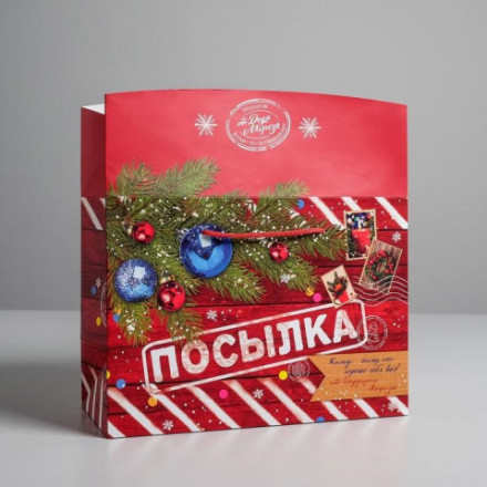 Пакет-коробка «Новогодняя посылка» #нг