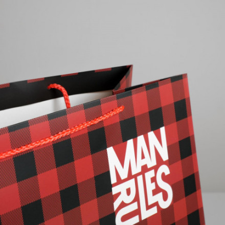 Пакет ламинированный «Man rules» клетка, мужской стиль