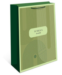 Пакет ламинированный Зеленый Успеха во всем