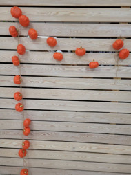 Гирлянда на джутовой веревке Тыквы (10 шт)