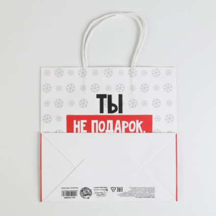 Пакет подарочный новогодний «Ты не подарок» #нг