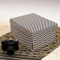 Коробка для хранения Игра линий, Полоска Зигзаг, белый/черный