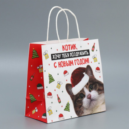 Пакет подарочный новогодний крафтовый «Котик», #нг