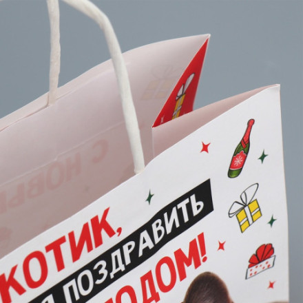 Пакет подарочный новогодний крафтовый «Котик», #нг