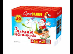 Батарея салютов Зимние каникулы (20ммх36)