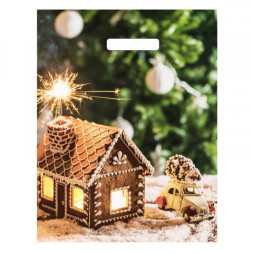 Пакет полиэтиленовый с вырубной ручкой «С новым годом. Пряничный домик», 60 мкм #нг