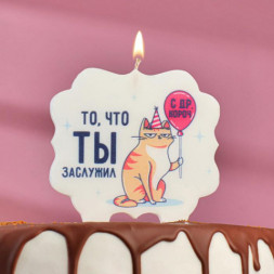 Свеча для торта «То, что ты заслужил. Кот с шариком»
