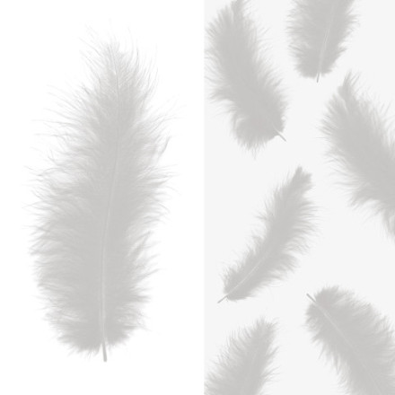 Перья Белые