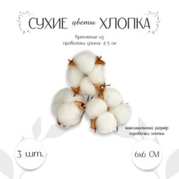 Декор для творчества «Сухие цветы хлопка» на проволоке