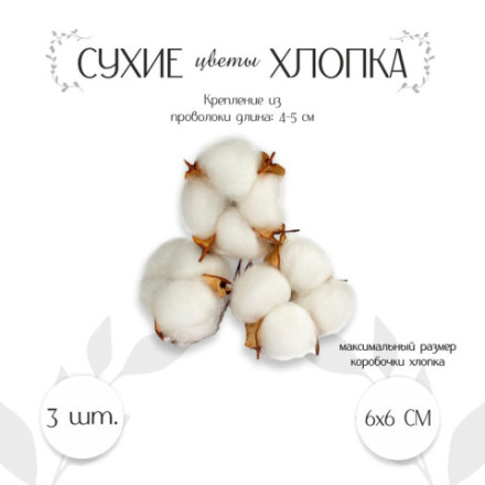 Декор для творчества «Сухие цветы хлопка» на проволоке
