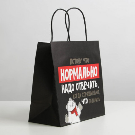 Пакет подарочный Нормально надо отвечать #нг