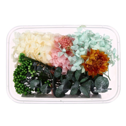 Набор для творчества «Сухоцветы», большой, розовый, жёлтый, голубой, зелёный