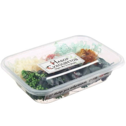 Набор для творчества «Сухоцветы», большой, розовый, жёлтый, голубой, зелёный